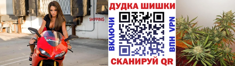 kraken ССЫЛКА  Горбатов  Бошки марихуана Bruce Banner 